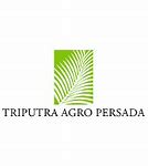 Siapa Pemilik Triputra Agro Persada